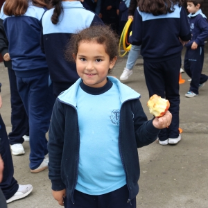 Día de la Actividad Física